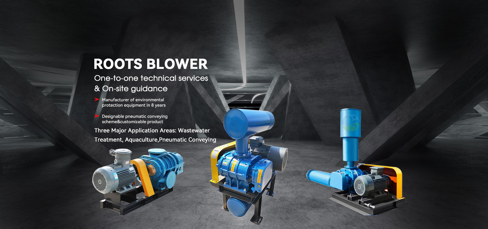 Tuam Tshoj Roots Blower Supplier