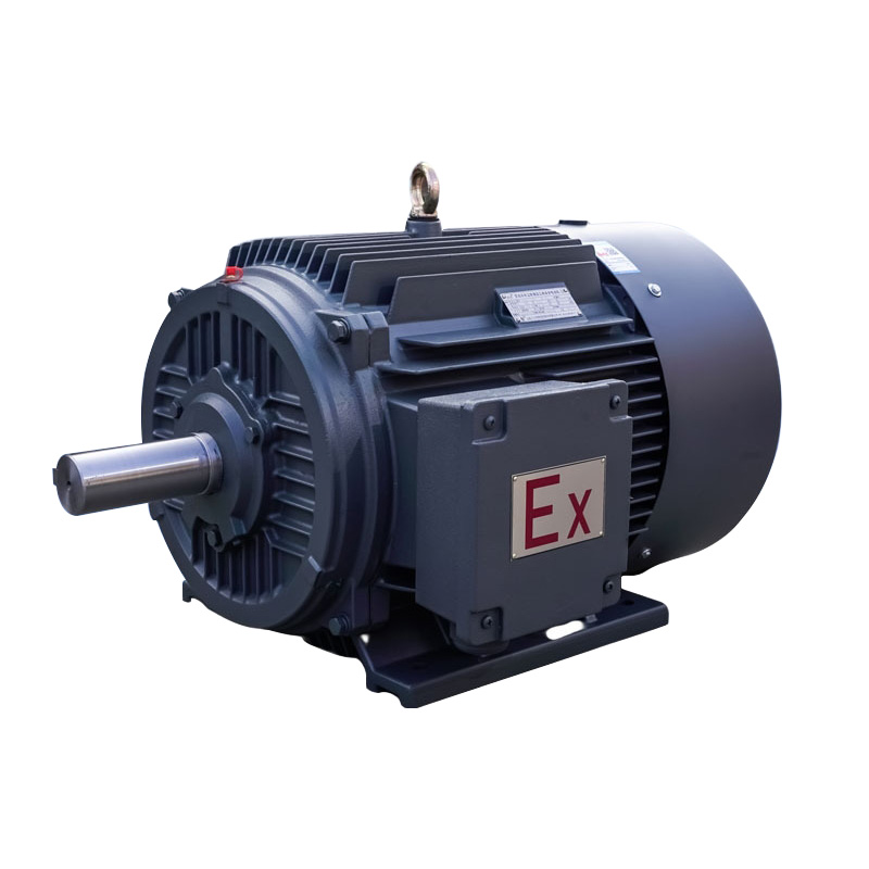 Explosion Proof Electrical Motor rau Coal Mine