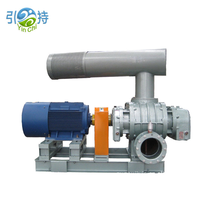 Industrial Gas Conveying Direct Coupling Roots Blower