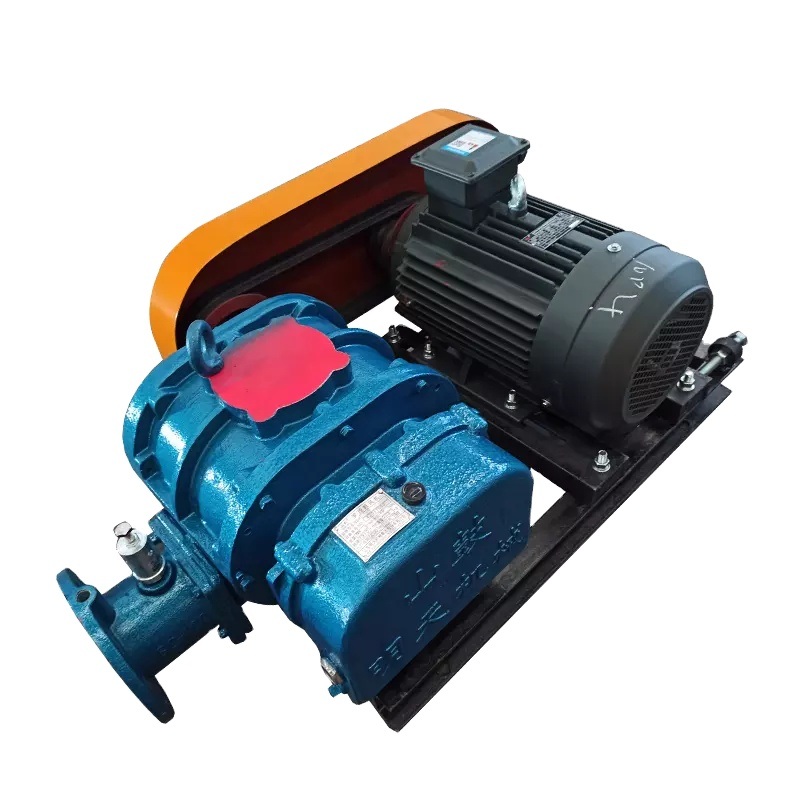 Roots Blower Nqus Pump